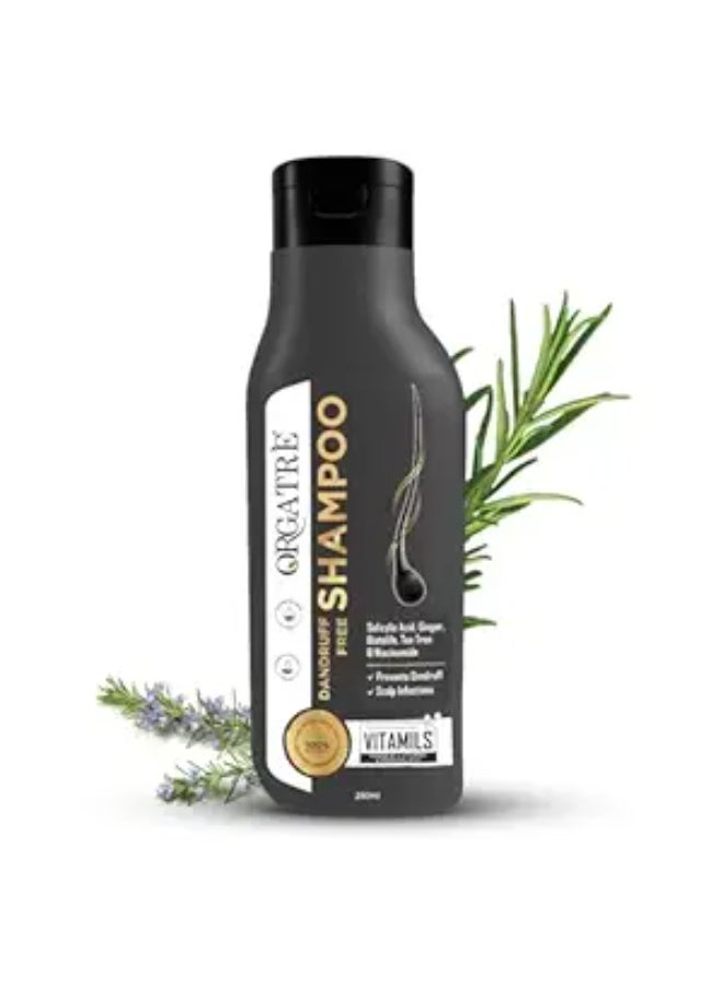 Orgatre Anti Dandruff Shampoo 250ml | Tea Tree, Ginger & Rosemary Extracts with Aloe Vera & Zinc Pyrithione | Sulphate Free Herbal Shampoo for Flake Control, Itchy Scalp & Hair Fall Reduction | Men & Women, All Hair Types - Image 1