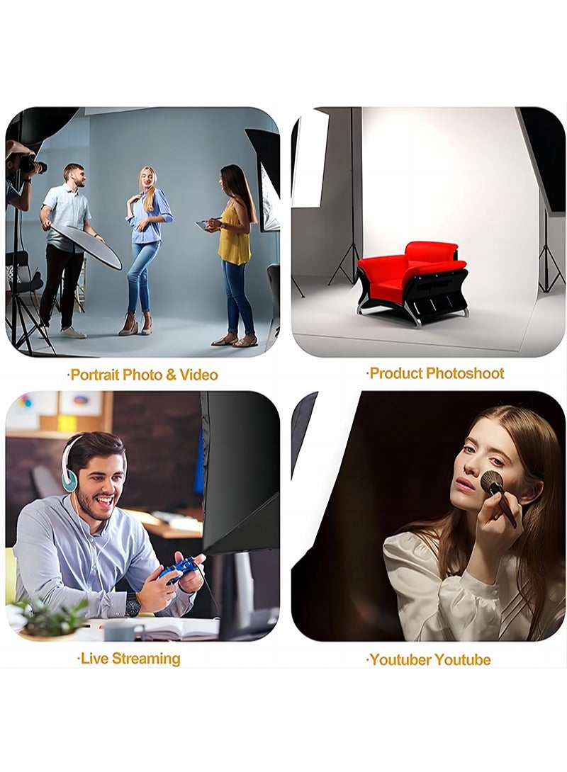 Photography Lighting Kit, 2 * 105W 5500K Temperature Bulbs, 2 * 50x70cm SoftBoxes, 2 * Tripods Stand and Carry Bag for Video Recording Portraits Photo Shooting