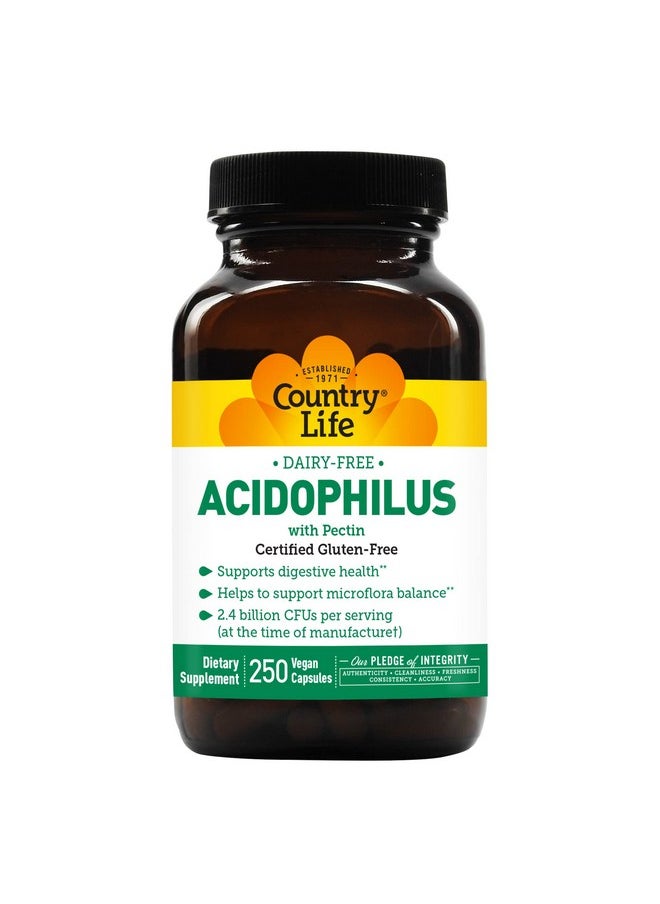 Country Life Dairyfree Acidophilus With Pectin 2.4 Billion Cfus 250 Vegan Capsules Certified Gluten Free Certified Vegan  - Image 2