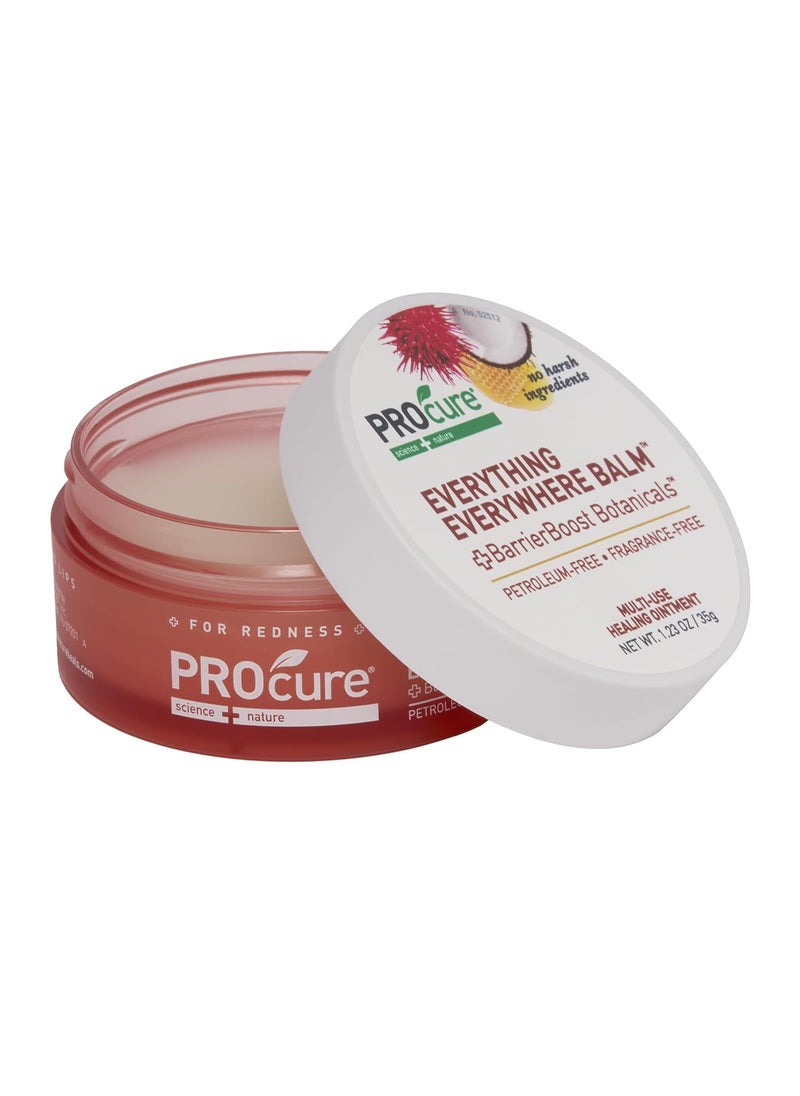 PROcure PROcure Everything Everywhere Balm Natural Moisturizing Soothing MultiUse Ointment 