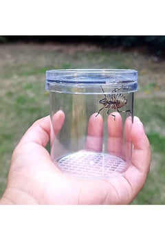 KASTWAVE 20 Pieces Critter Insect Cages Bug Viewer Magnifying Insect Box Bug Magnifier Container Bug Catcher Cage, Science Nature Exploration Tools  - Image 2