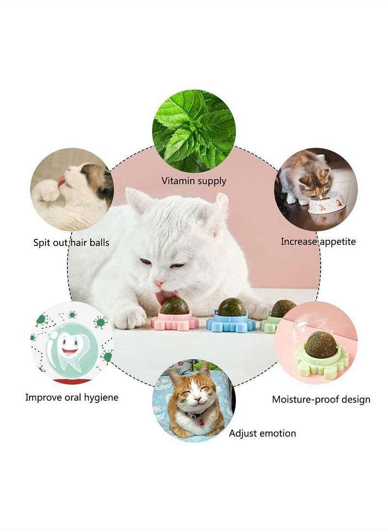 سيوسي - كرة حائط من Catnip ، ألعاب قطط من 3 قطع ، لعبة لعق القطط الصالحة للأكل ، لعبة مضغ القطة ، لعبة عضة القط لتنظيف الأسنان ، لعبة قطة داخلية قابلة للدوران ، ديكور جداري للقطط - Image 1