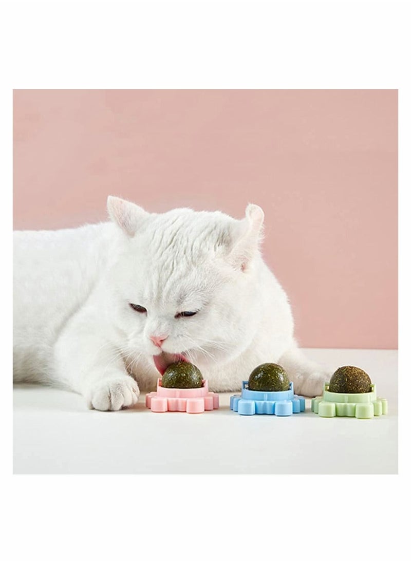 سيوسي - كرة حائط من Catnip ، ألعاب قطط من 3 قطع ، لعبة لعق القطط الصالحة للأكل ، لعبة مضغ القطة ، لعبة عضة القط لتنظيف الأسنان ، لعبة قطة داخلية قابلة للدوران ، ديكور جداري للقطط - Image 1