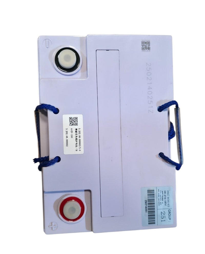 LVTONG بطارية AGM 8V 170AH لعربات الجولف - Image 2