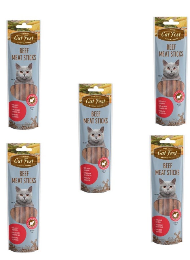 Cat Fest Meat Sticks Beef For Cat[Weight - 45g] - Image 5