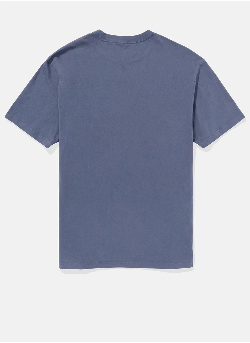 American Eagle Embroidered Crew Neck Graphic T-Shirt