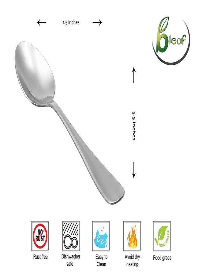 BLeaf Stainless Steel-Dessert Spoon Set (Pack of 12) - Image 4