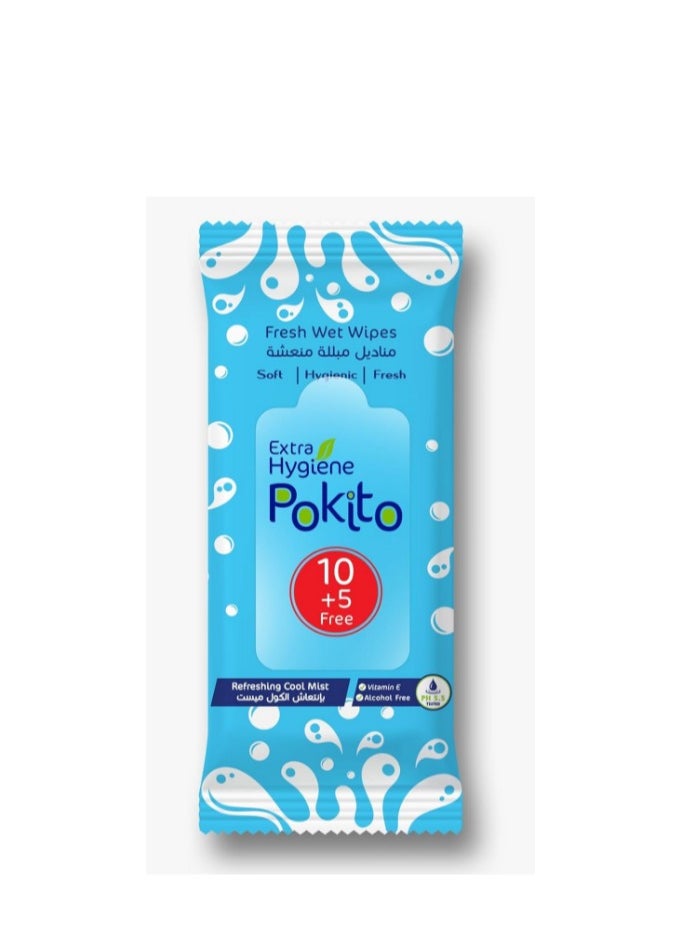 Hygiene HYGIENE WIPES 10 pieces  - Image 1