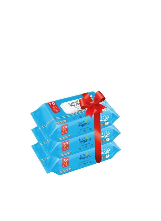 Hygiene HYGIENE WIPES 10 pieces  - Image 2