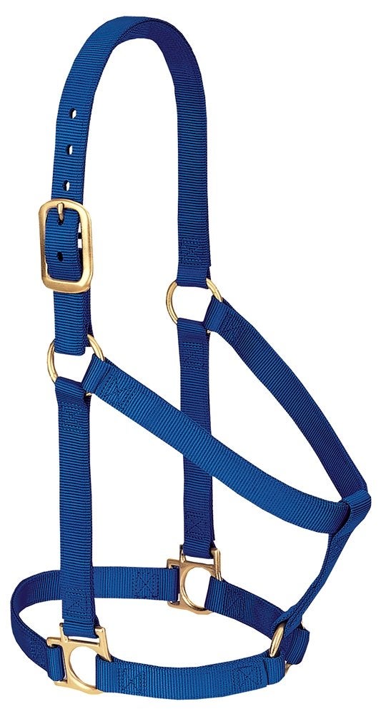 Weaver Equine Nylon Horse Halter, Comfort Double-Ply Webbing, Basic Non Adjustable Halters for Horses, Equine Tack,Average Size, Blue - Image 1