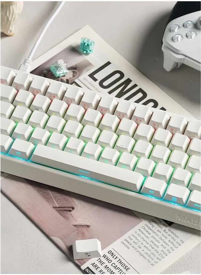 Madlions mad60 HE 60% Wired Magnetic Keyboard with 8000 Hz Polling Rate, Hall Effect Switches, Hot-Swap, for FPS Games (white)