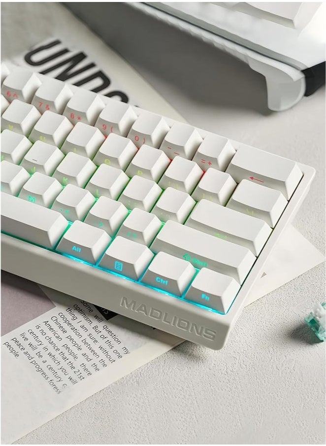 Madlions mad60 HE 60% Wired Magnetic Keyboard with 8000 Hz Polling Rate, Hall Effect Switches, Hot-Swap, for FPS Games (white)
