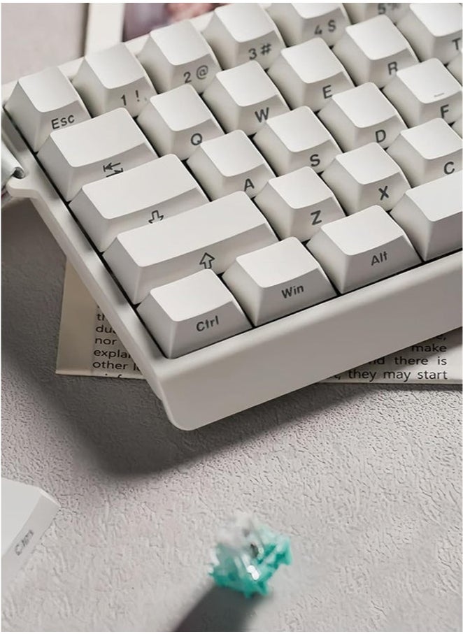 Madlions mad60 HE 60% Wired Magnetic Keyboard with 8000 Hz Polling Rate, Hall Effect Switches, Hot-Swap, for FPS Games (white)