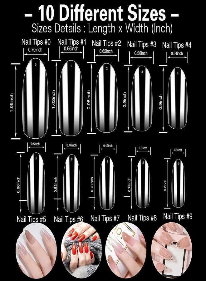 إليكتومانيا أظافر صناعية من إليكتومانيا، 500 قطعة - 10 مقاسات، أظافر صناعية شفافة وأكريليك مع علبة للصالونات وفن تزيين الأظافر المنزلي (بيضاوي طويل) - Image 2