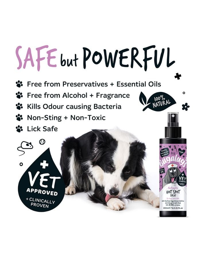 Bugalugs Antiseptic Hot Spot Spray for Dogs & Cats 200ml – Soothes Irritations & Promotes Healing - Image 4