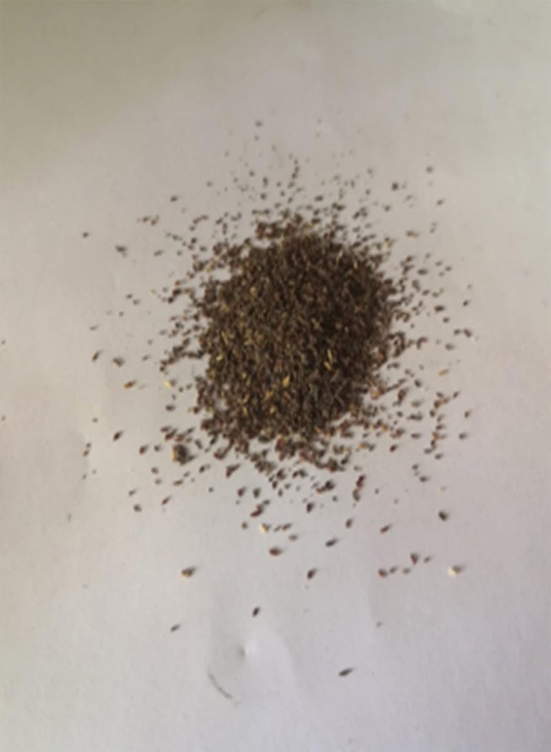 GGOOT 1 Bag Ground-Cover Chrysanthemum Seed Flourishing Easy to Grow Lightweight Natural Flower Seed for Garden Flower Seed for Yard - Image 2