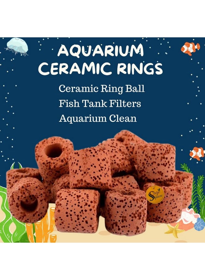 Sage Square Ceramic Rings Aquatic Water Plant Fixed Ring For Aquarium Landscape Ceramic Plant Pot Ring Tool Aquarium Decoration Fish Tank Accessories (500Grm)  - Image 3