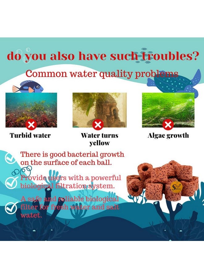 Sage Square Ceramic Rings Aquatic Water Plant Fixed Ring For Aquarium Landscape Ceramic Plant Pot Ring Tool Aquarium Decoration Fish Tank Accessories (500Grm)  - Image 2