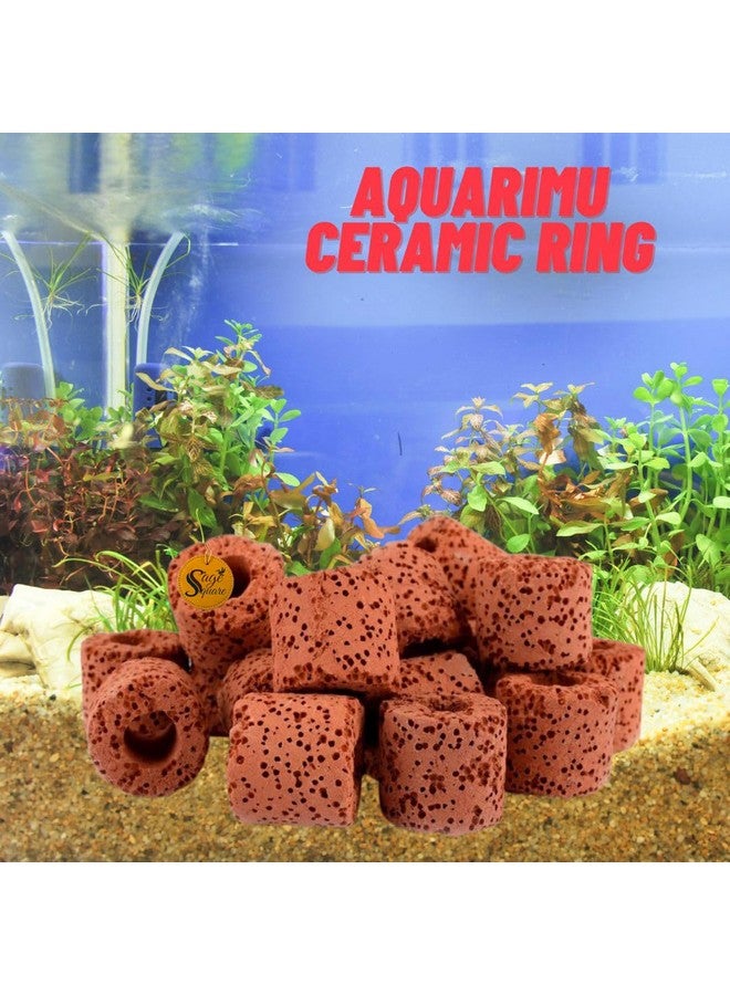 Sage Square Ceramic Rings Aquatic Water Plant Fixed Ring For Aquarium Landscape Ceramic Plant Pot Ring Tool Aquarium Decoration Fish Tank Accessories (500Grm)  - Image 5