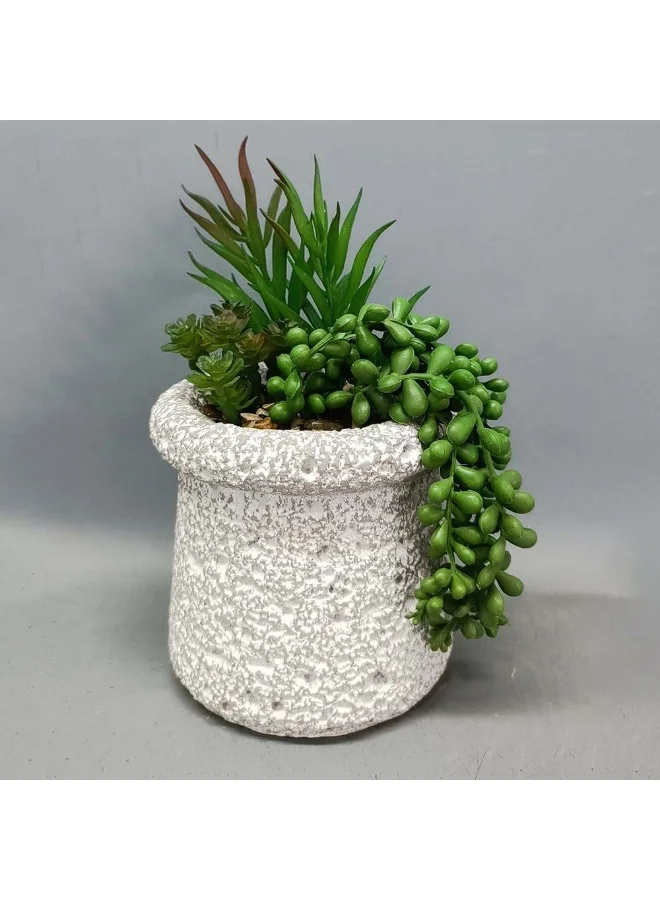 DANUBE HOME EC-Nomad Succulent Cement Planter 15X13X21Cm