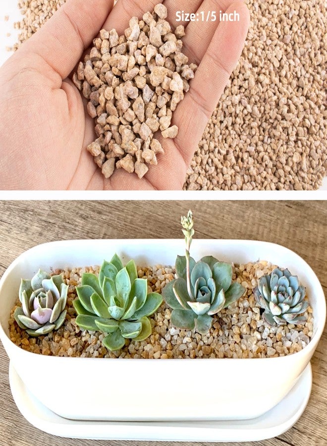 CJGQ 3lb Maifanitum Stones for Succulent Cactus Bonsai Decorative Rocks-Indoor Plants Soil Covers,Horticultural Gravel, Potting Pebbles for Terrarium, Fairy Gardening, Top Dressing - Image 3