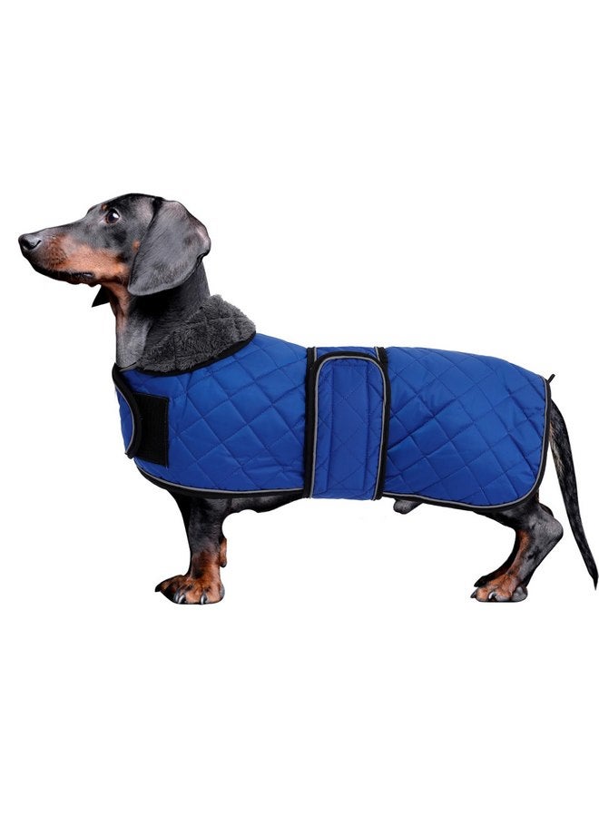 Morezi Dachshund Coats, Dachshund Coat, Coat for Dachshund, Dog Winter Coat with Padded Fleece Lining, Outdoor Dog Apparel with Adjustable Bands - Navy - XS