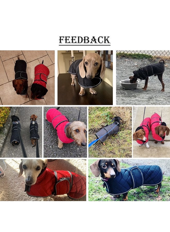Morezi Dachshund Coats, Dachshund Coat, Coat for Dachshund, Dog Winter Coat with Padded Fleece Lining, Outdoor Dog Apparel with Adjustable Bands - Navy - XS