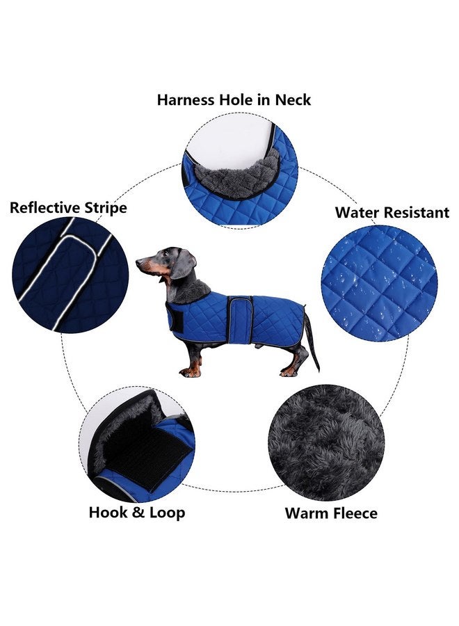 Morezi Dachshund Coats, Dachshund Coat, Coat for Dachshund, Dog Winter Coat with Padded Fleece Lining, Outdoor Dog Apparel with Adjustable Bands - Navy - XS