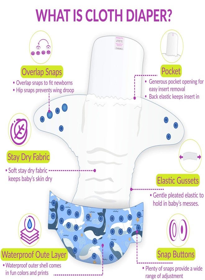 Bembika A Plus Printed Cloth Diapers for Babies, Washable Reusable, Adjustable Sizes with 4 Layer Dry Feel Insert (Whale Doodle) - Image 5