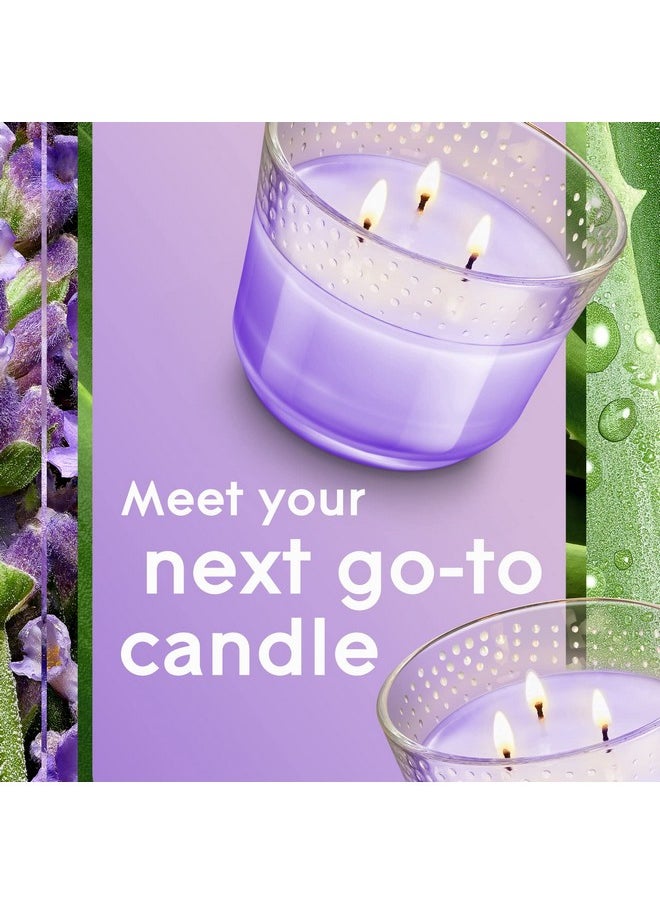 Glade Glade Tranquil Lavender & Aloe 3-Wick Candle, 6.8 Oz, 3 Count  - Image 3