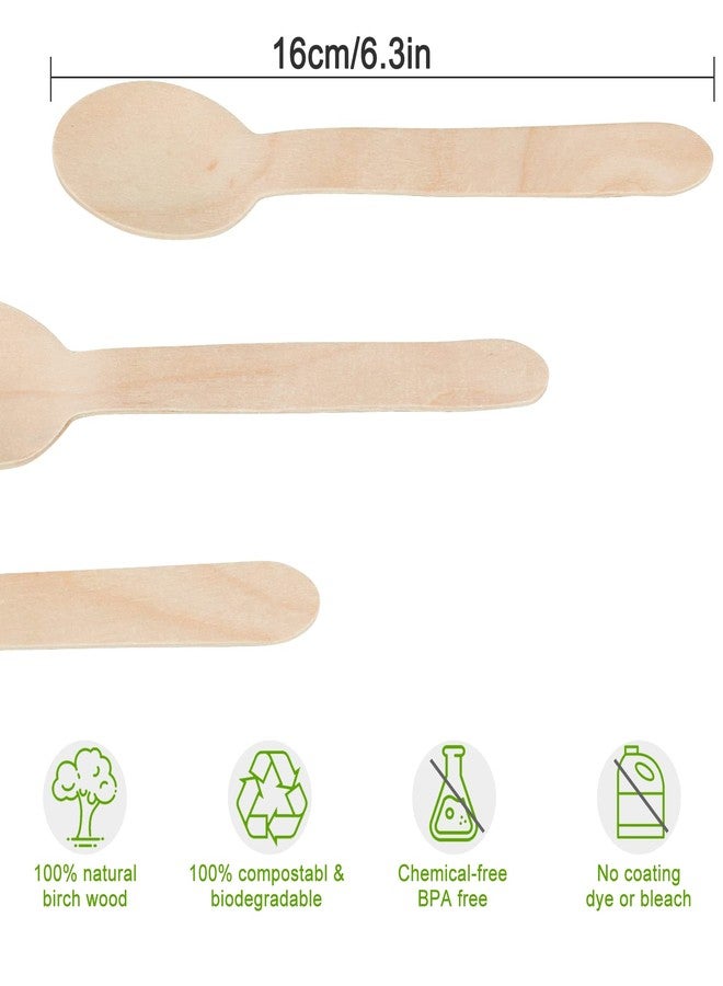 TANGTEA 100 Pack Wooden Spoons Disposable - 6.3 Inch Length Biodegradable Cutlery - Compostable Bamboo Spoon For Chocolate, Coffee, Flavor, Ice Cream, Dessert, Parties, Dinners, Catering Services, Gatherings - Image 2