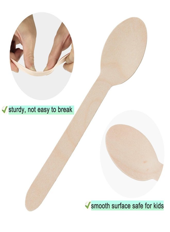 TANGTEA 100 Pack Wooden Spoons Disposable - 6.3 Inch Length Biodegradable Cutlery - Compostable Bamboo Spoon For Chocolate, Coffee, Flavor, Ice Cream, Dessert, Parties, Dinners, Catering Services, Gatherings - Image 4