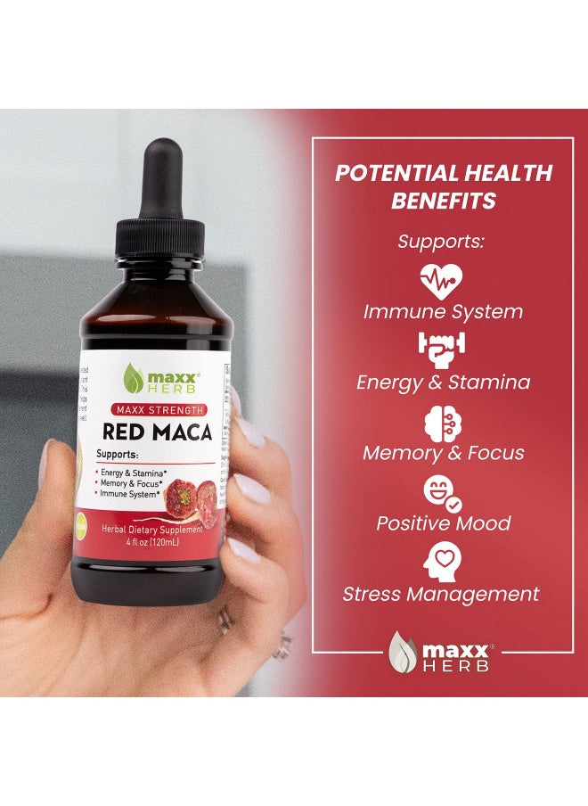 Maxx Herb Red Maca Root Extract - Max Strength Liquid Drops Absorb Better Than Powder or Capsules, for Stamina, Memory and Focus - Alcohol Free - 4 Bottles, 4 Oz Each (240 Servings)