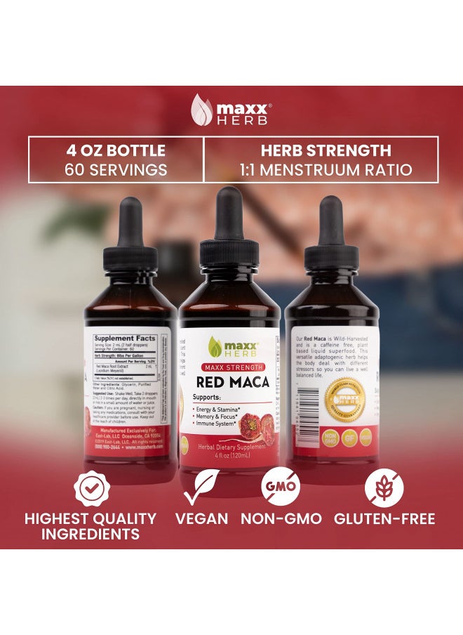 Maxx Herb Red Maca Root Extract - Max Strength Liquid Drops Absorb Better Than Powder or Capsules, for Stamina, Memory and Focus - Alcohol Free - 4 Bottles, 4 Oz Each (240 Servings)
