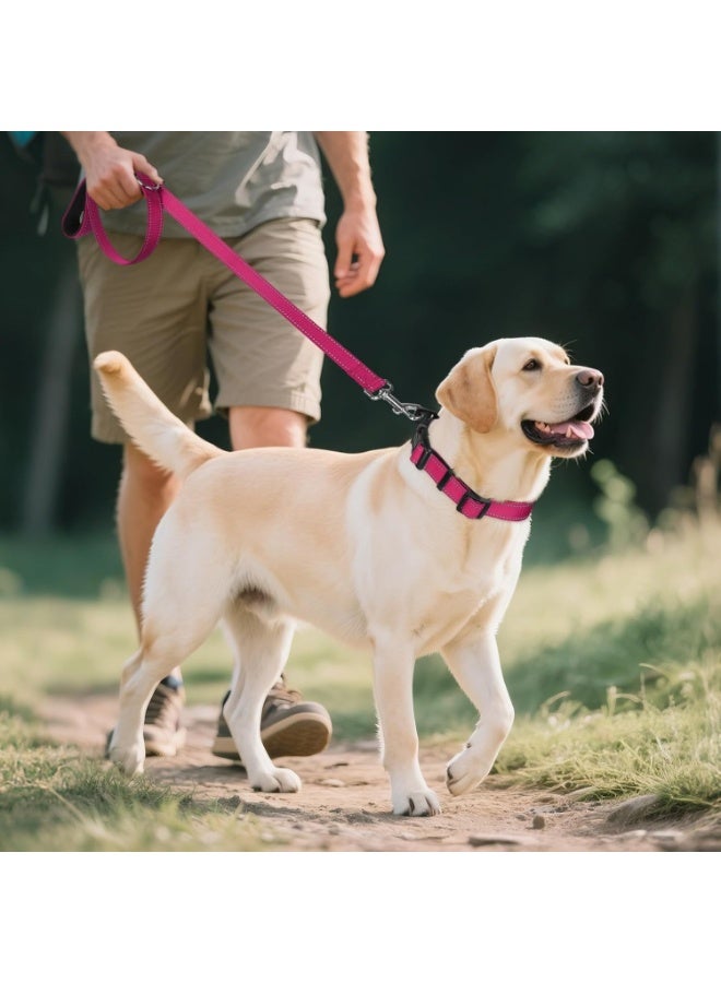 Q TRIPLE A Reflective Dog Collar with Soft Neoprene Padding, Metal D-Ring and Adjustable Length, Premium Nylon Material (Color: Hot Pink) - Image 5