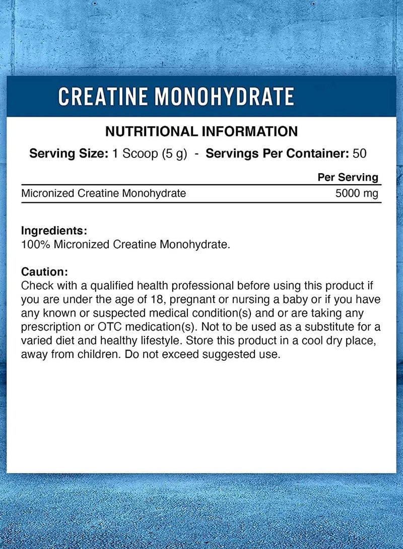 Applied Nutrition Creatine Monohydrate Micronized - Unflavored - (250 g) - Image 2