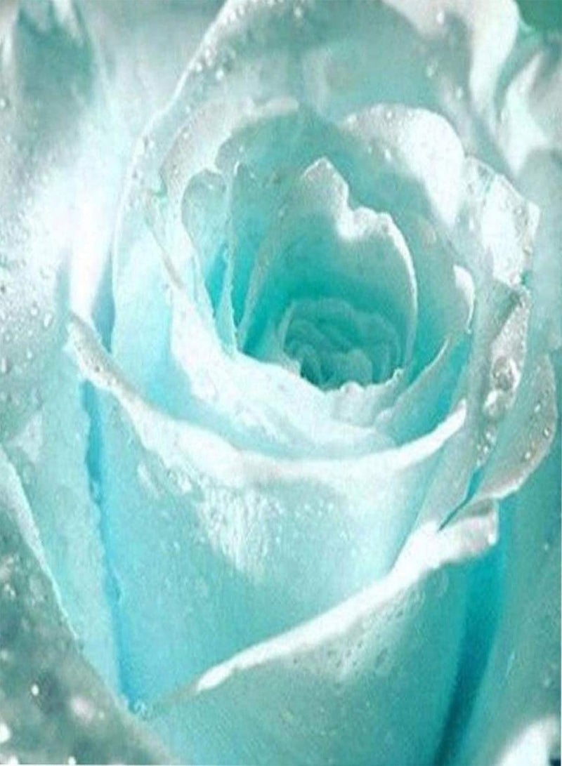 GGOOT Seed for Planting,20/50Pcs Rare Light Blue Rose Flower Seeds Garden Fragrant Bonsai Plant Decor-Light Blue Rose Seeds-50pcs - Image 1