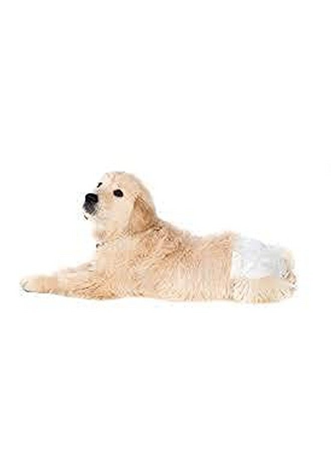 Generic Pet Disposable Female Puppy, Dog Diaper/Physiological Pants/Sanitary Cotton Underwear Nappy (280Mm X 380Mm - 12 Pieces) - Small Size - Image 4
