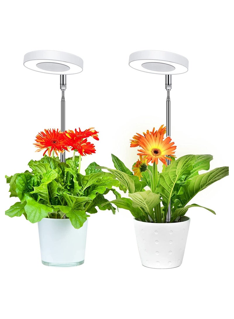 NIBEMINENT SYOSI LED Plant Lamp for Indoor, Full Spectrum 4 Brightness Light with 2/4/8 Auto Timer, Height-Adjustable Growth Seedlings and Succulents Flowers, Energy Class A, 2 Pcs, White - Image 1