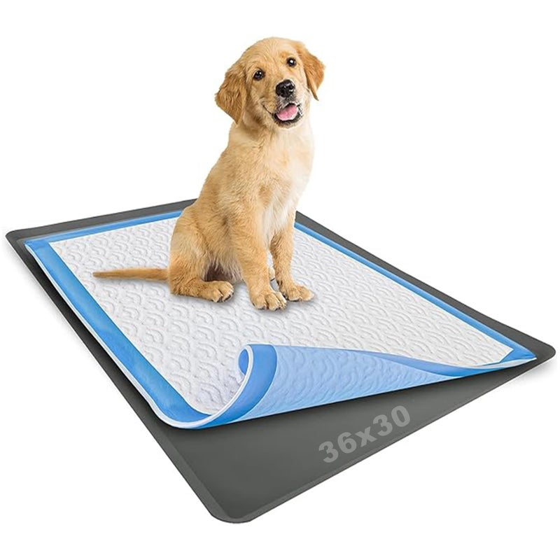 TidyFriend Dog Pee Pad Holder Tray Fits for 30 x 36 Wee Wee Pee Pads Stable Grip Raised Edges QuickWipe Silicone Surface Dog Potty Tray Holder for Indoor Flooring Protection Grey
