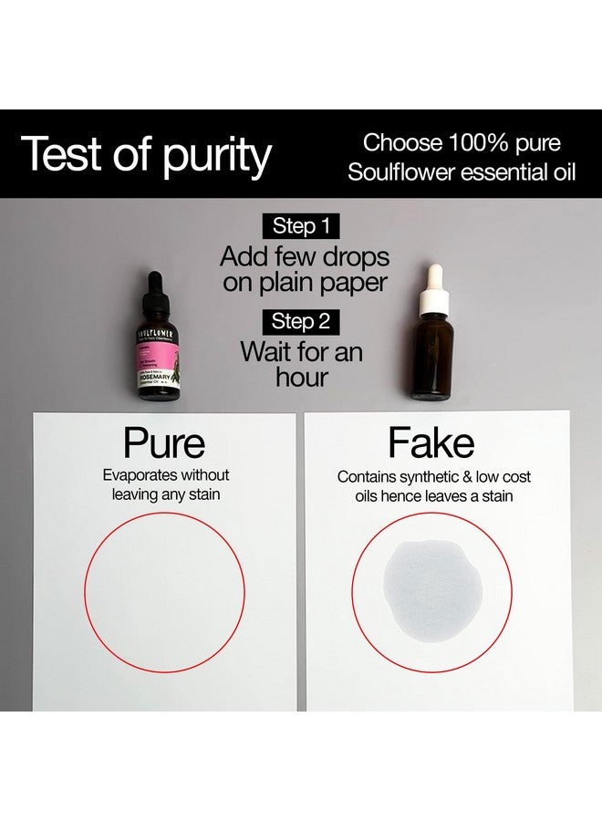 Soulflower Olive Carrier Oil 225Ml Castor Carrier Oil 225Ml & Rosemary Essential Oil 15 Ml Combo For Hair Growth Long Shiny Frizz Free & Thicker Eyebrows And Eye Lashes Pack Of 3 (Free Dropper) - Image 2