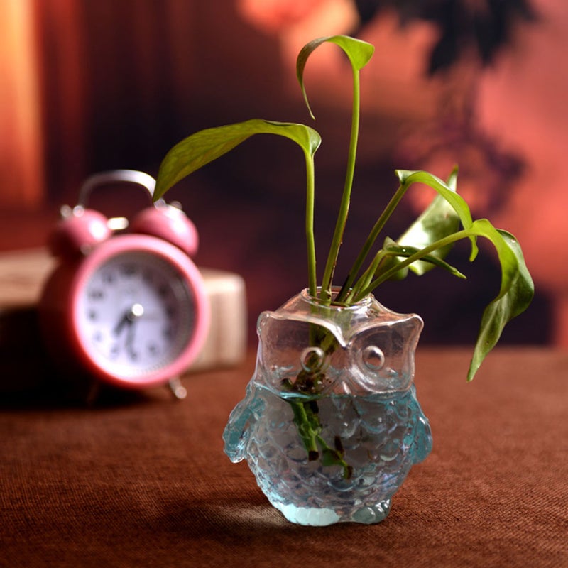 🌱 مزهرية شفافة بتصميم أنيق لتزيين المنزل من مادة زجاجية متينة - Image 1