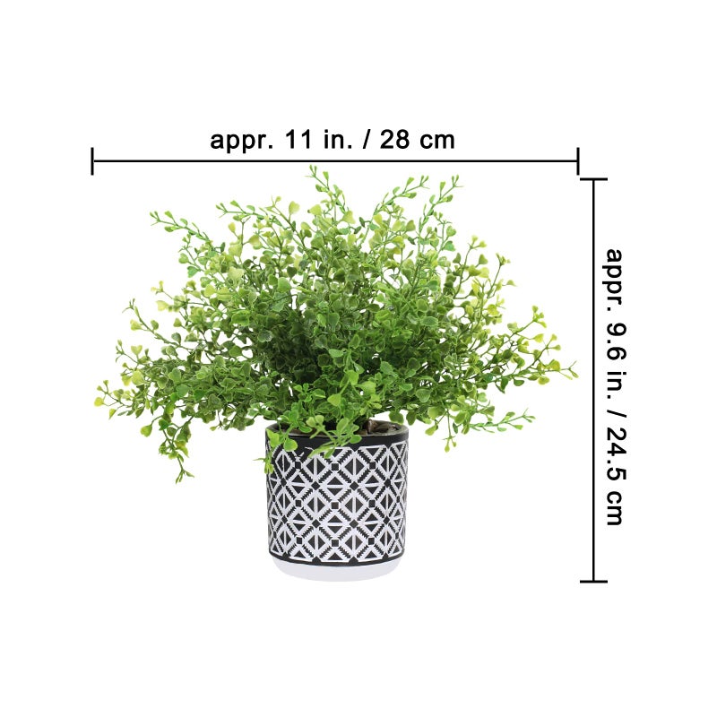 Winlyn Winlyn Set of 3 Assorted Small Potted Plants Faux Eucalyptus Boxwood Plants Aloe Succulent Plant in Black and White Geometric Pots for Table Centerpiece Windowsill Shelf Indoor Outdoor Greenery Decor  - Image 2