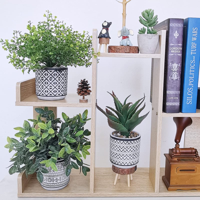 Winlyn Winlyn Set of 3 Assorted Small Potted Plants Faux Eucalyptus Boxwood Plants Aloe Succulent Plant in Black and White Geometric Pots for Table Centerpiece Windowsill Shelf Indoor Outdoor Greenery Decor  - Image 4