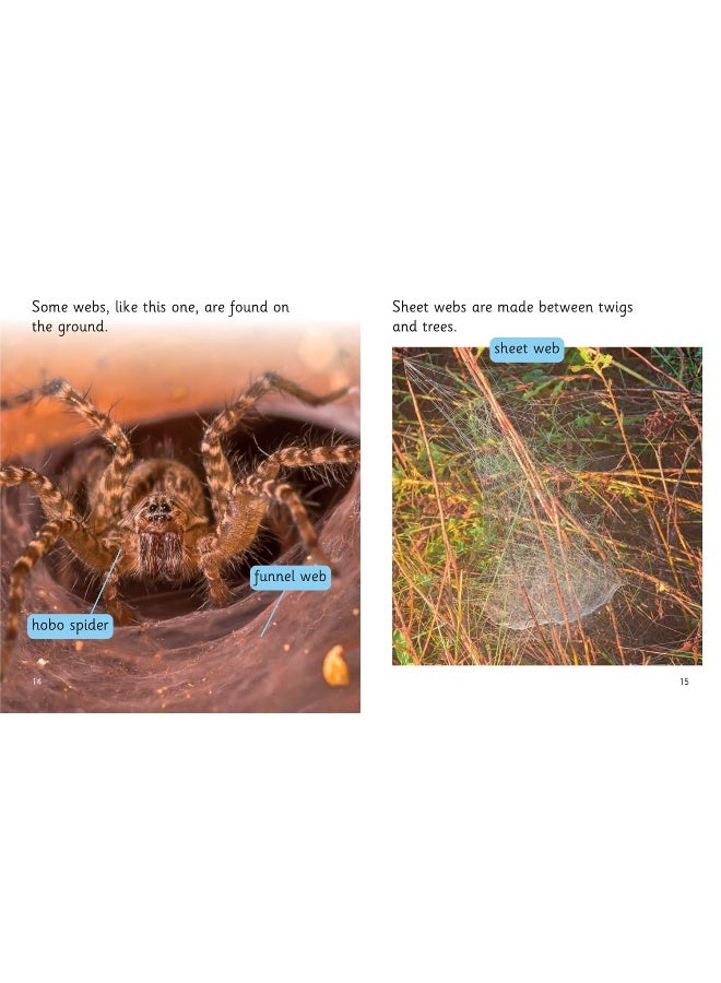 Amazing Webs: Phase 5 Set 2  - Image 5