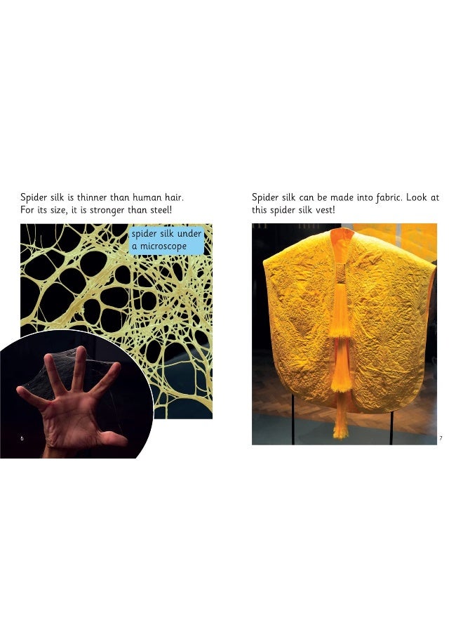 Amazing Webs: Phase 5 Set 2  - Image 4