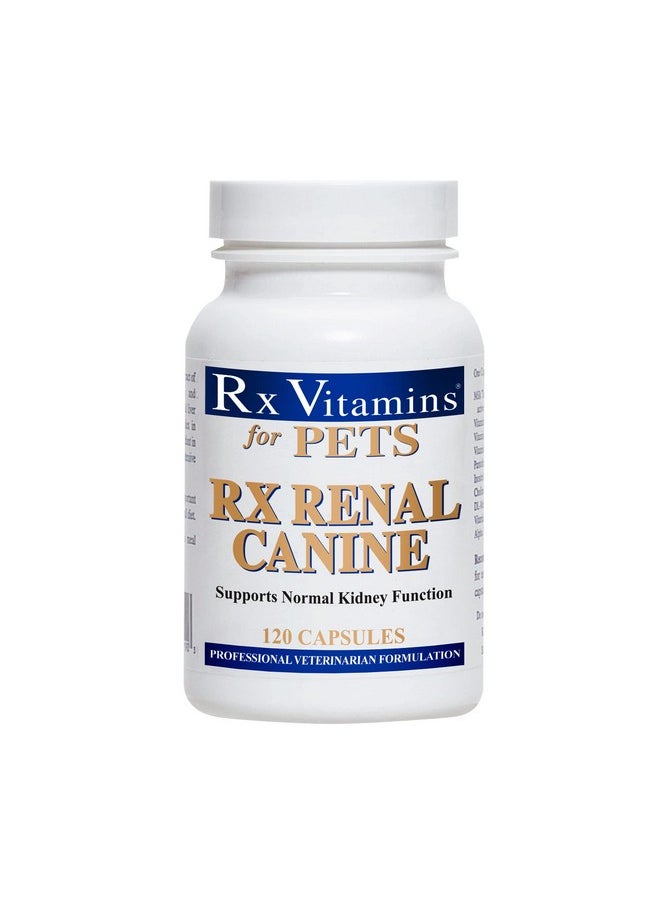 Rx Vitamins - Rx Renal Canine 120 Caps By Rx Vitamins - Image 1