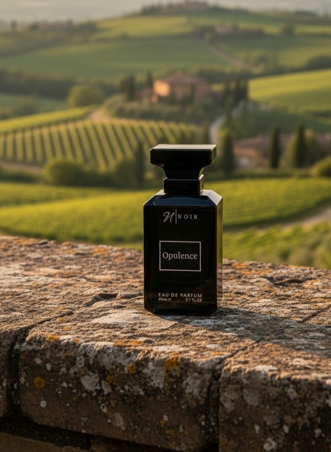 نوير أوبيولانس (خشبي، جلد)، أو دو بارفان للرجال، عنبر، جلد، شمواه، 80 مل - Image 5