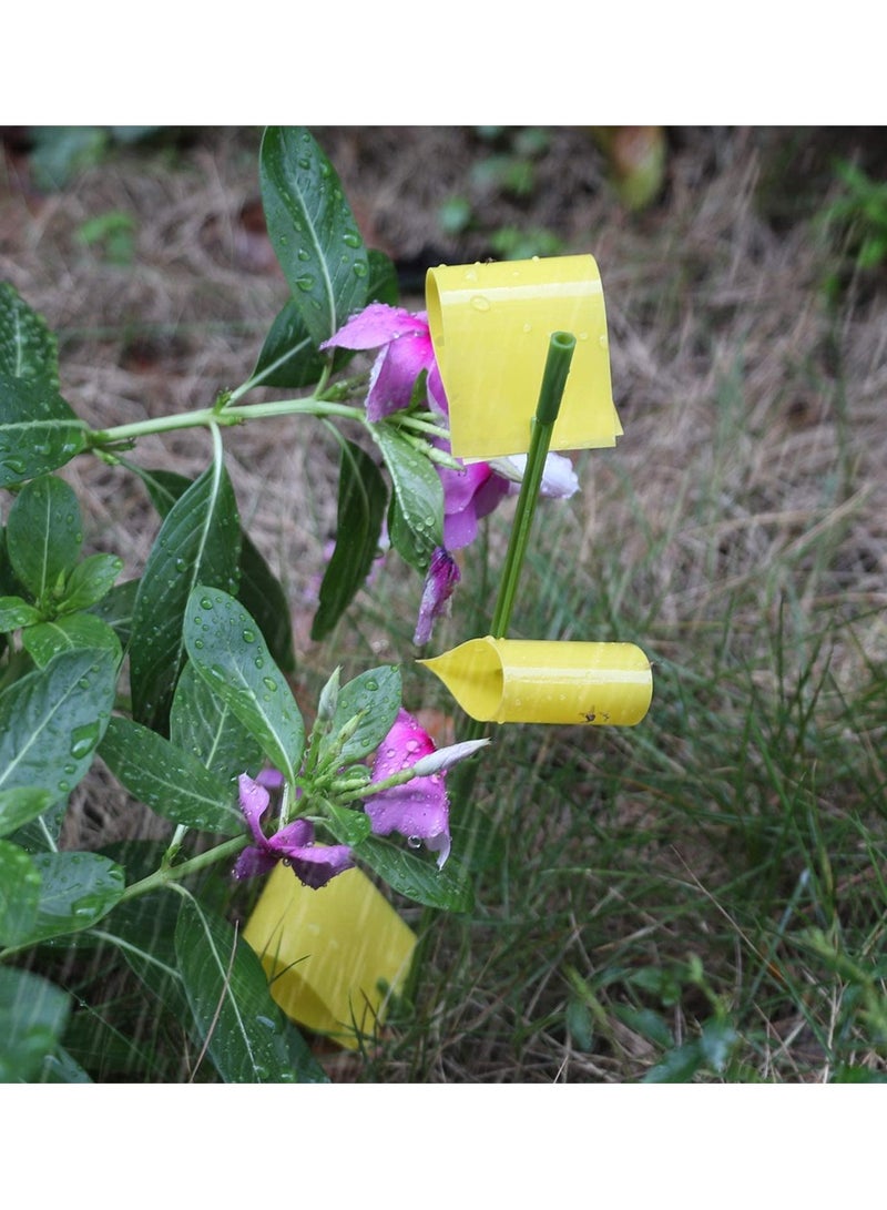 Luckam فخ نباتات منزلية لاصق، فخ ذباب الفاكهة لداخل المنزل، قاتل البعوض الخارجي، فخ الحشرات الطائرة، مقاوم للماء، قاتل ذباب الفطريات للنباتات الداخلية، غير سام وعديم الرائحة، 21 قطعة - Image 5
