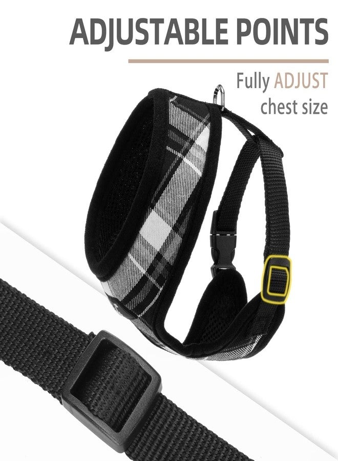 PUPTECK Soft Mesh Dog Harness and Leash Set Pet Puppy Cat Comfort Padded Vest No Pull Harnesses, Black, S - Image 3